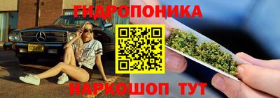 spice Краснознаменск