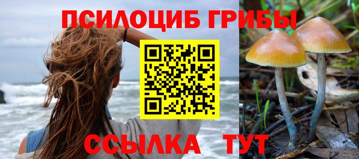 Псилоцибиновые грибы мицелий Кострома