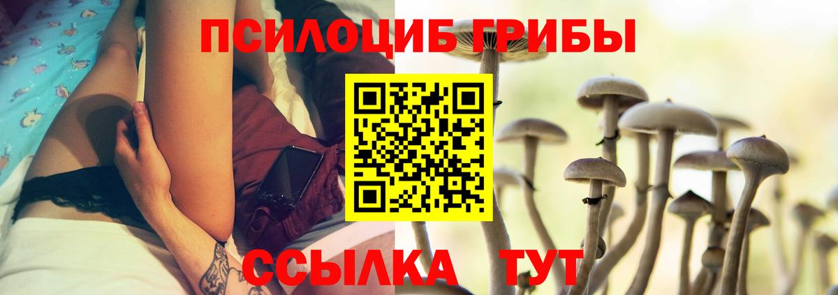 Псилоцибиновые грибы GOLDEN TEACHER  Галлюциногенные грибы мухоморы  Вход с VPN  хочу наркоту  Кострома 
